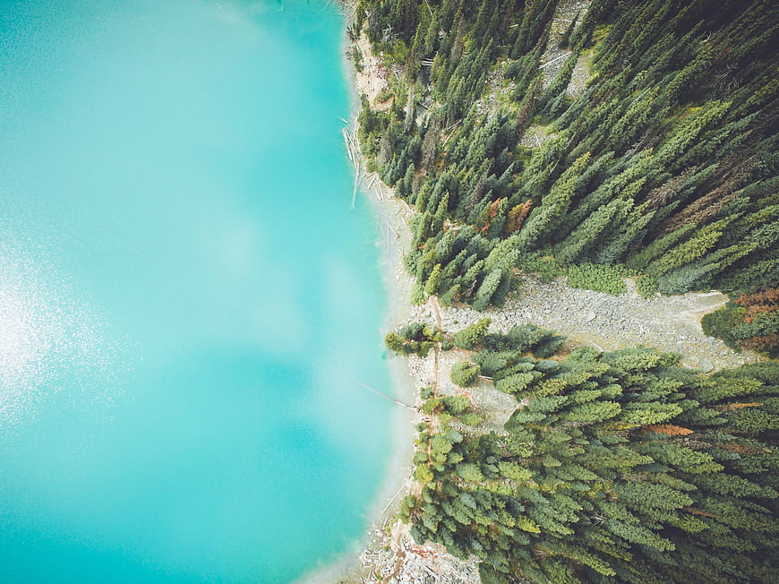 Aerial View of Turquoise Lake and Pine Forest Shoreline