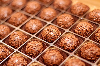 Close-up of chocolate truffles in a box