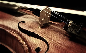 Close-up of violin bridge, strings, and f-hole on wooden body