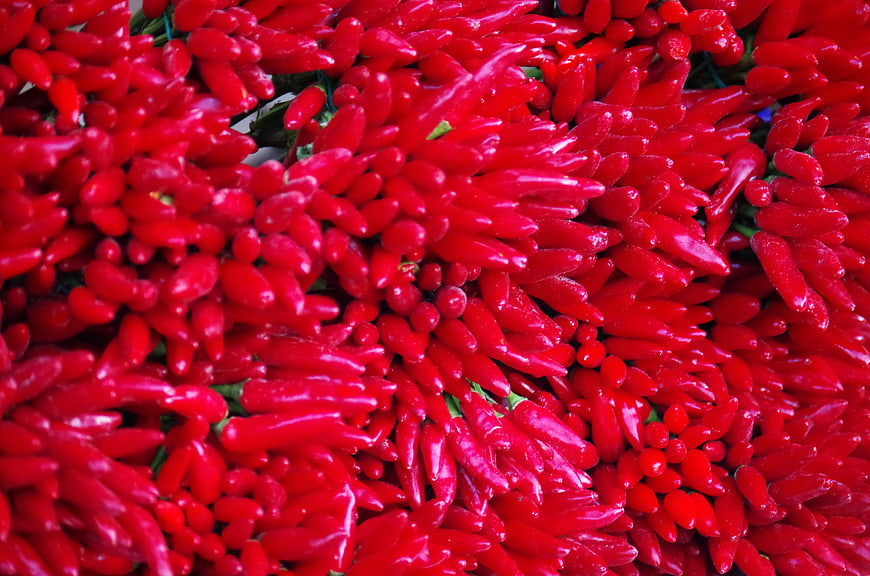 Vibrant Red Chili Peppers Pile Close Up