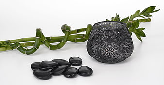 Lucky bamboo, black zen stones, and metal candle holder on white