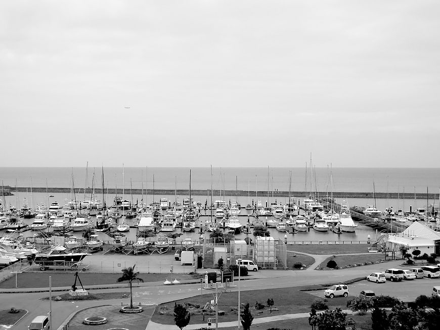 Black and white aerial view of marina with boats and ocean