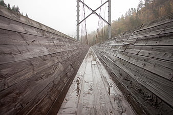 Low angle view of wet wooden suspension bridge in foggy forest