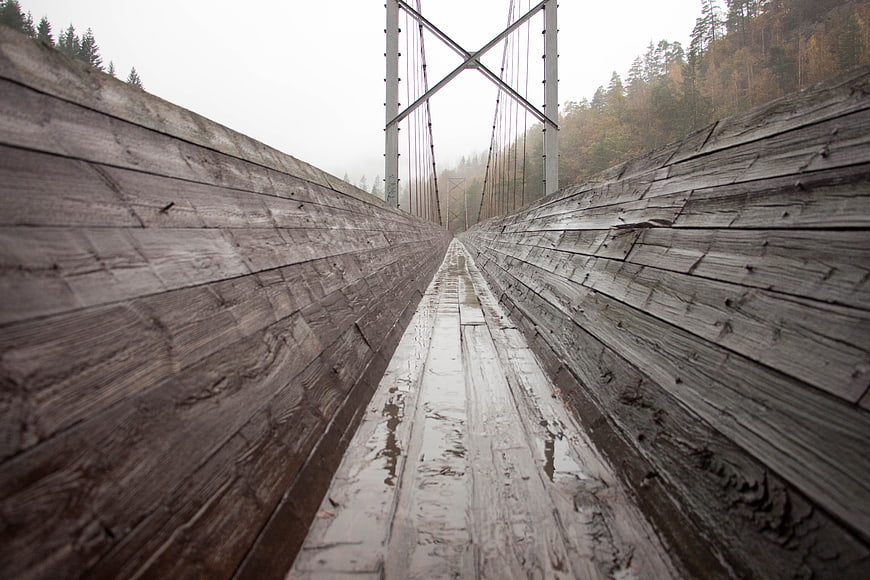 Low angle view of wet wooden suspension bridge in foggy forest