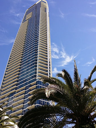 Modern Skyscraper with Palm Trees Against Blue Sky