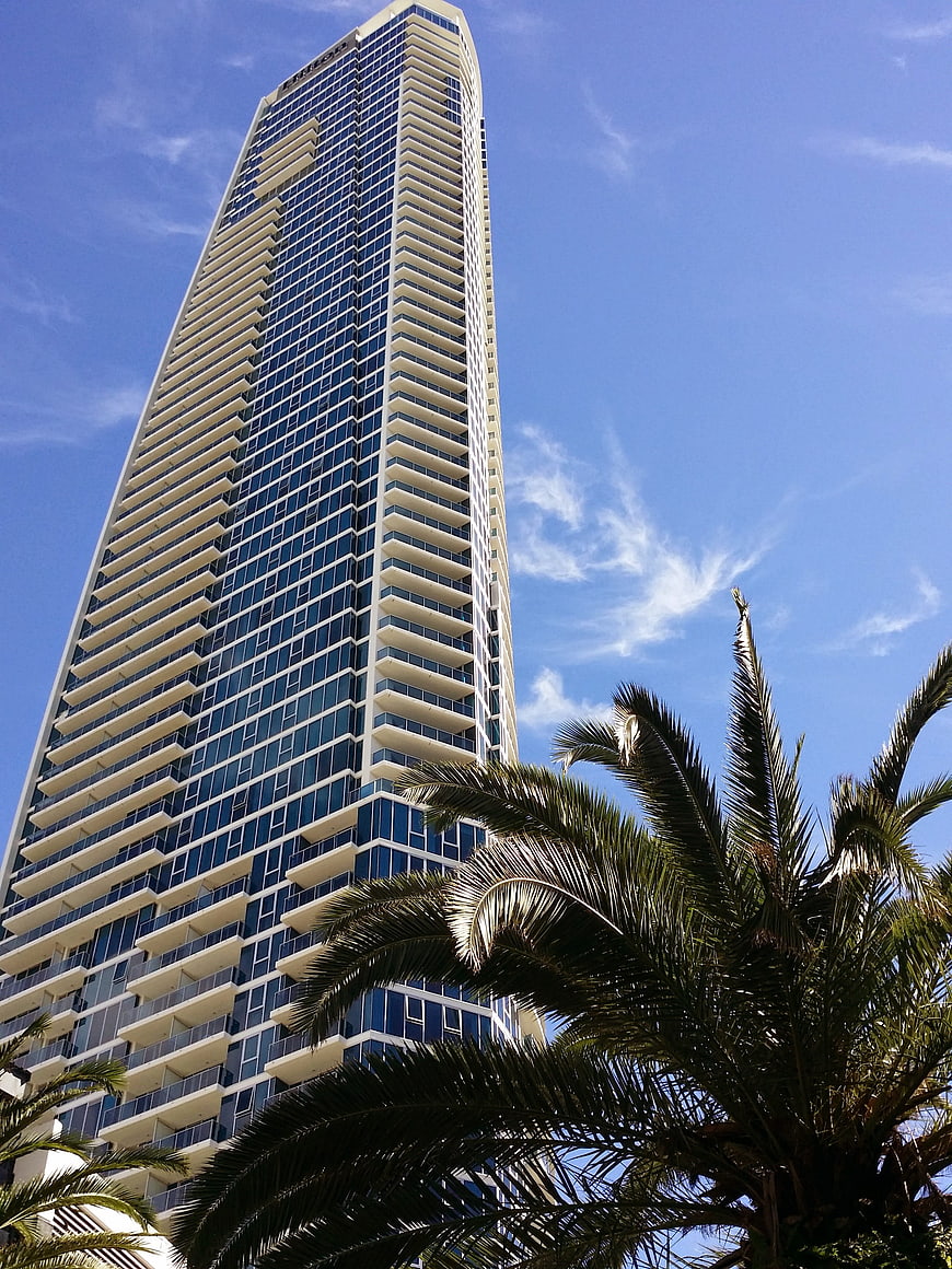 Modern Skyscraper with Palm Trees Against Blue Sky