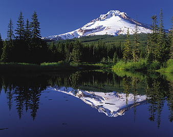 Snow-capped Mount Hood reflected in calm lake with pine forest