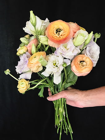 Hand holding pastel bouquet of ranunculus and lisianthus on black background