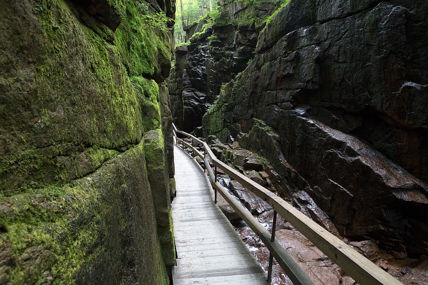 Wooden Walkway Through Mossy Rock Gorge