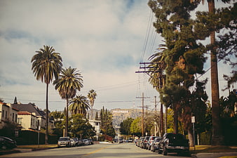 Hollywood Sign View from Residential Street with Palm Trees