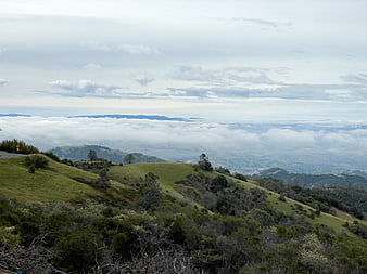 Green rolling hills above a sea of clouds and fog