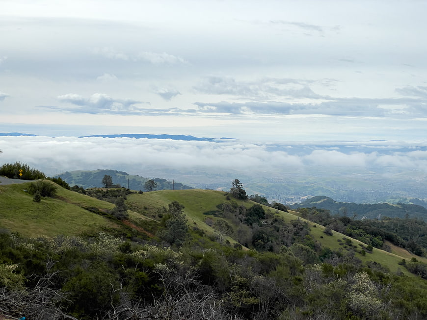Green rolling hills above a sea of clouds and fog