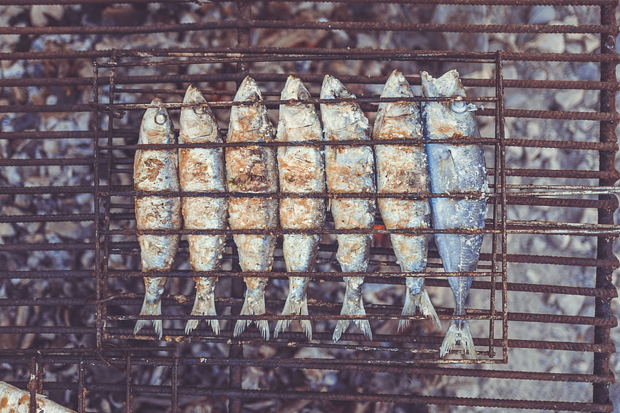 Grilled fish on a rusty metal grate over coals