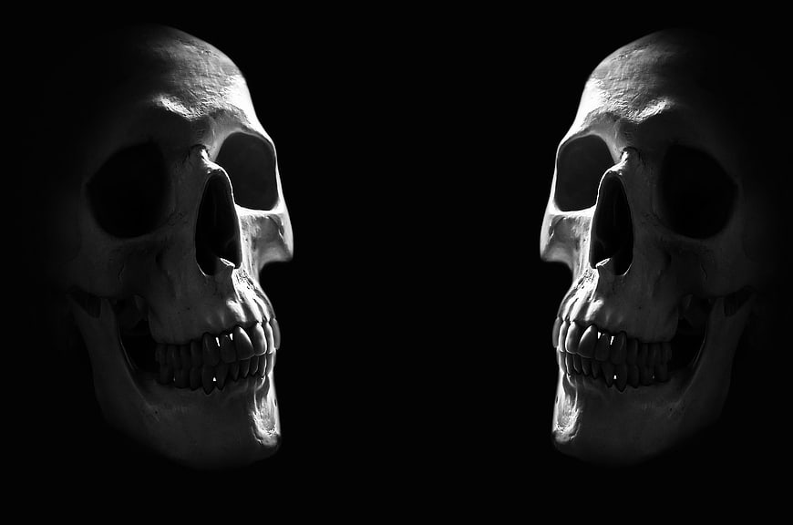 Dramatic Black and White Skulls on Dark Background
