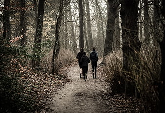 Three Runners Jogging on Forest Path in Autumn