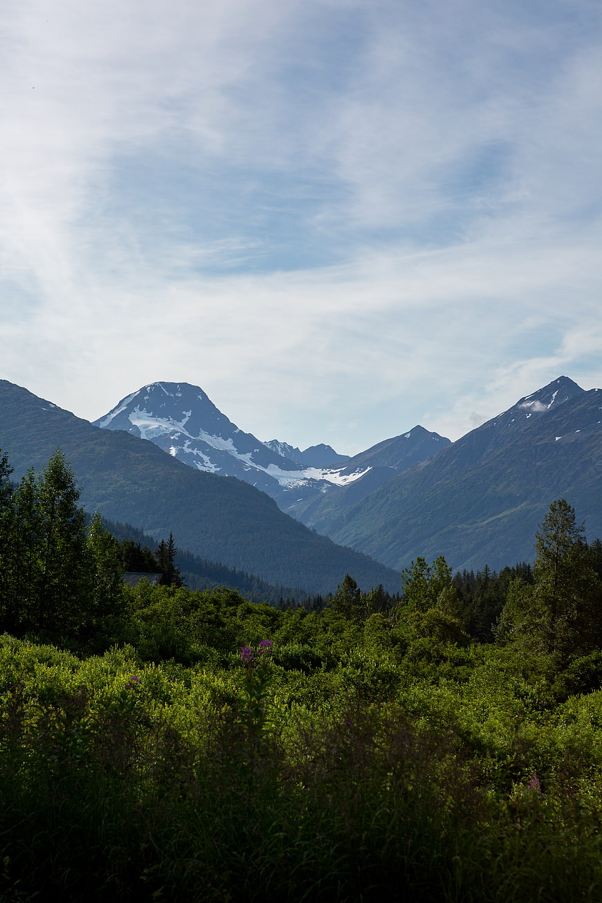 Snow-Capped Mountain Peak with Green Forest Foreground