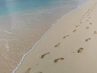 Footprints in Sand on Tropical Beach Shoreline