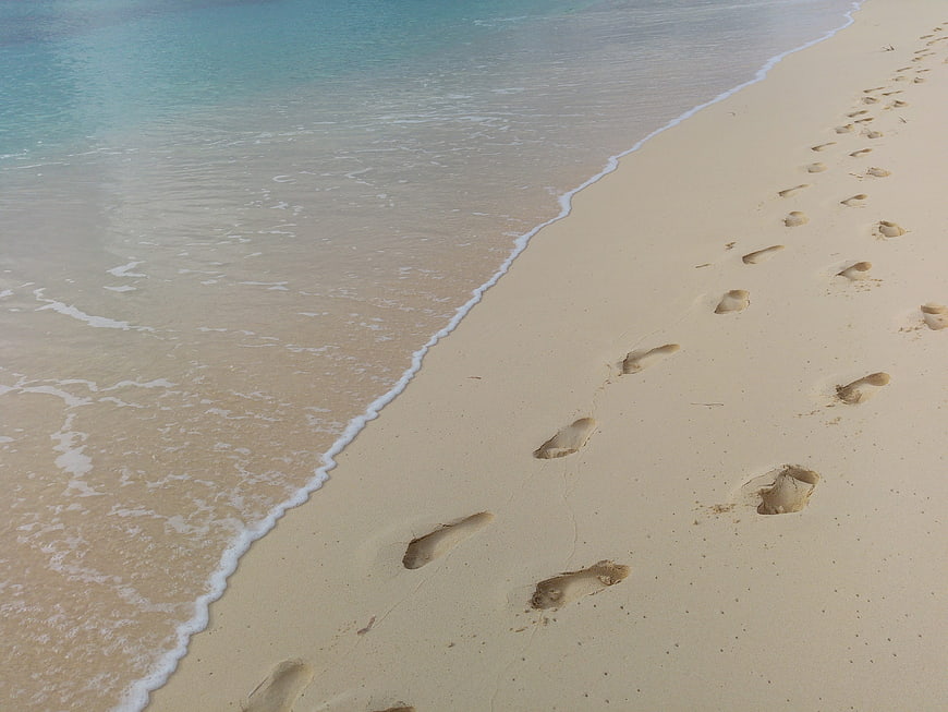 Footprints in Sand on Tropical Beach Shoreline