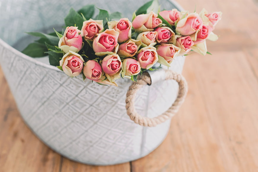 Pink Roses in Rustic Metal Bucket on Wooden Table