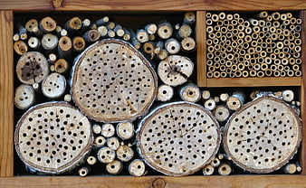 Insect hotel with drilled wood logs and bamboo tubes