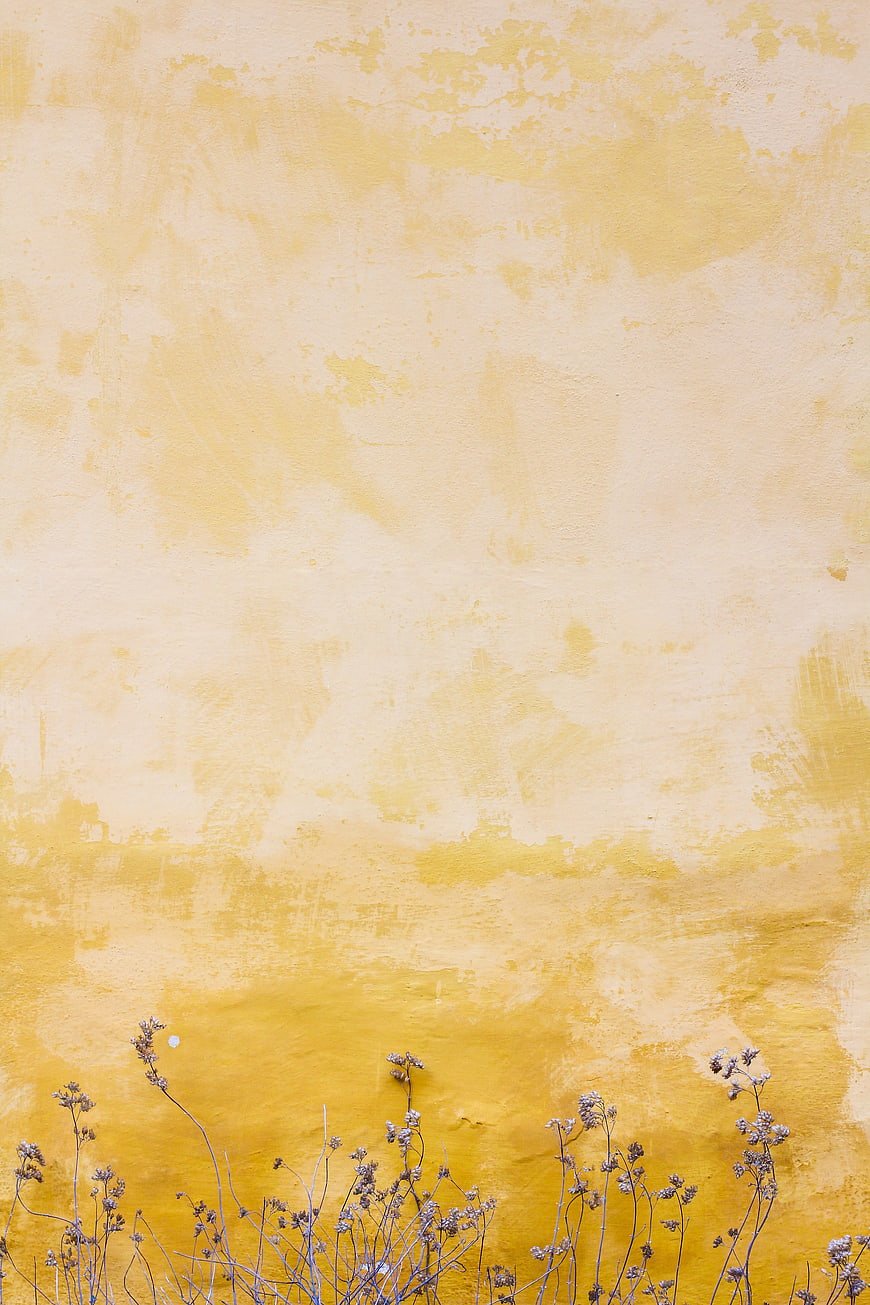 Textured yellow wall background with dried wildflowers