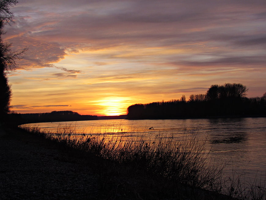 Serene Sunset Over River with Silhouetted Trees and Reflections