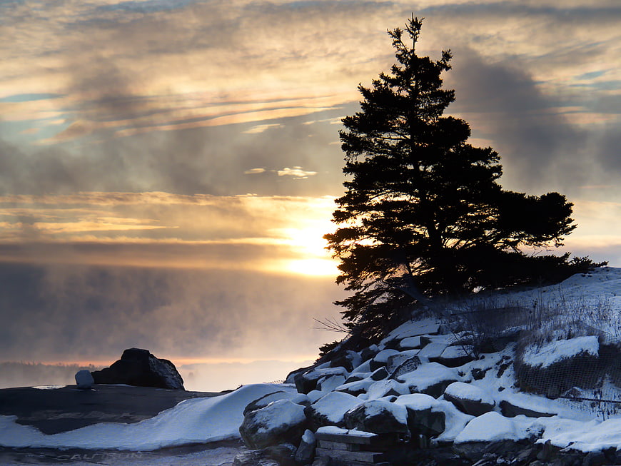 Solitary Pine Tree Silhouette on Snowy Cliff at Sunrise