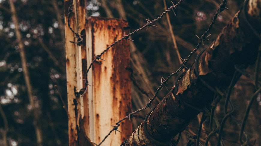 Rusty Barbed Wire Fence in Forest