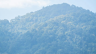 Hazy Blue Mountain Forest Landscape in Thailand