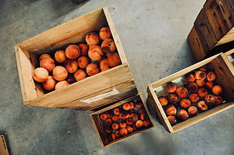 Fresh Peaches in Wooden Crates on Concrete Floor