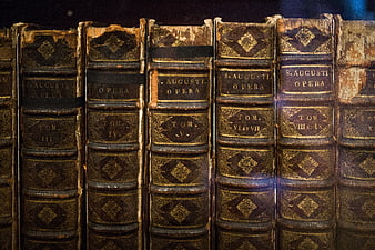 Vintage leather-bound books on a library shelf