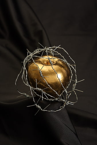 Conceptual Golden Apple Sculpture Encased in Barbed Wire on Black Background