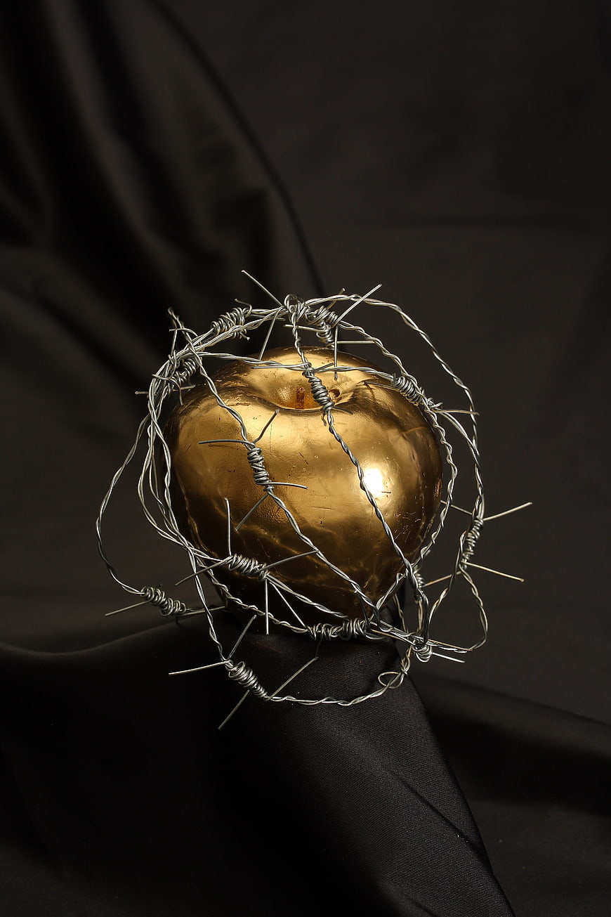 Conceptual Golden Apple Sculpture Encased in Barbed Wire on Black Background