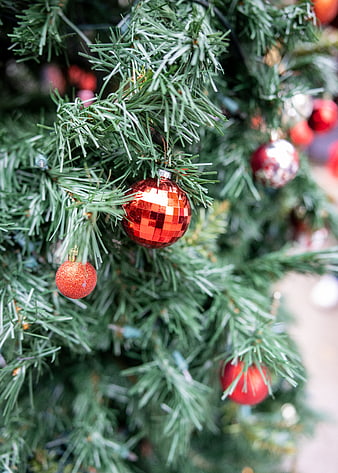 Close-up of red disco ball ornament on Christmas tree