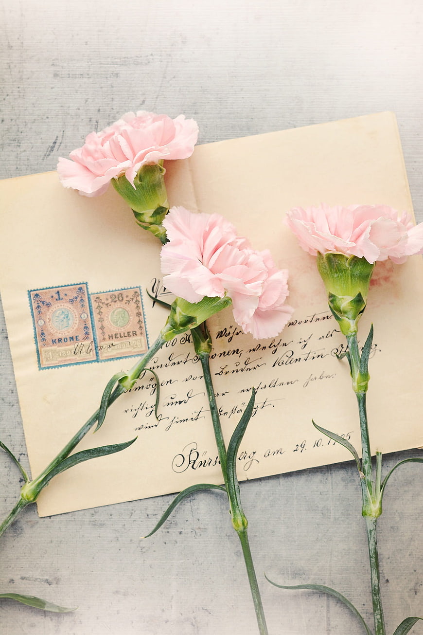 Vintage envelope with pink carnations and old stamps