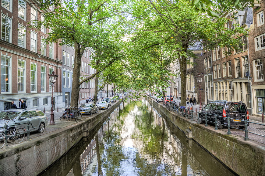 Amsterdam Canal with Trees and Traditional Dutch Architecture