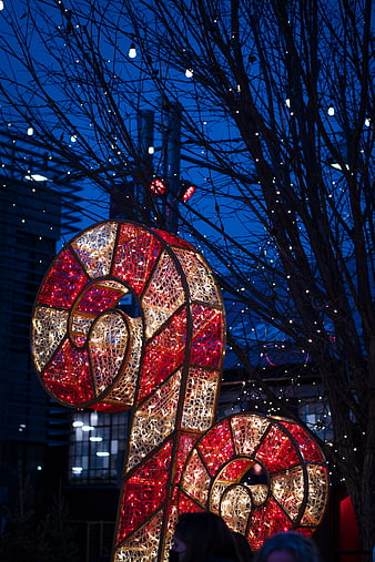 Illuminated Candy Cane Christmas Light Display at Night