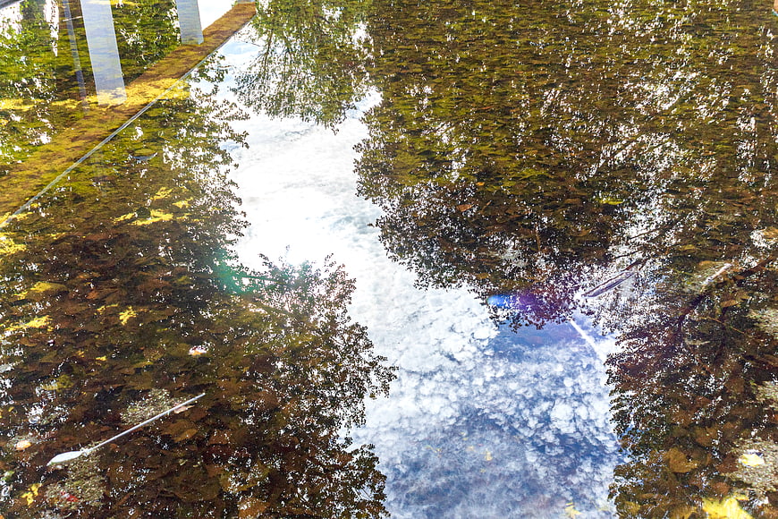 Reflection of trees and sky in a puddle