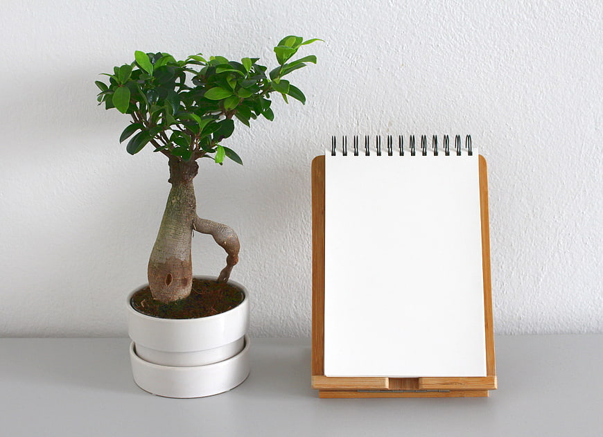 Bonsai Tree and Blank Notepad on White Background