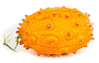 Close-up of Spiky Orange Bitter Melon on White Background