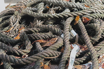Close-up of weathered marine rope with autumn leaves