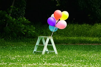Colorful balloons tied to a wooden stool in a grassy meadow