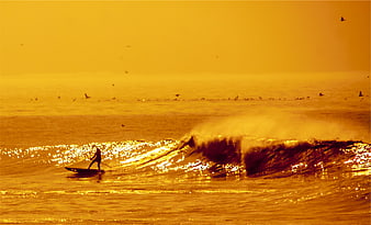 Silhouette of Paddleboarder on Golden Sunset Ocean Waves