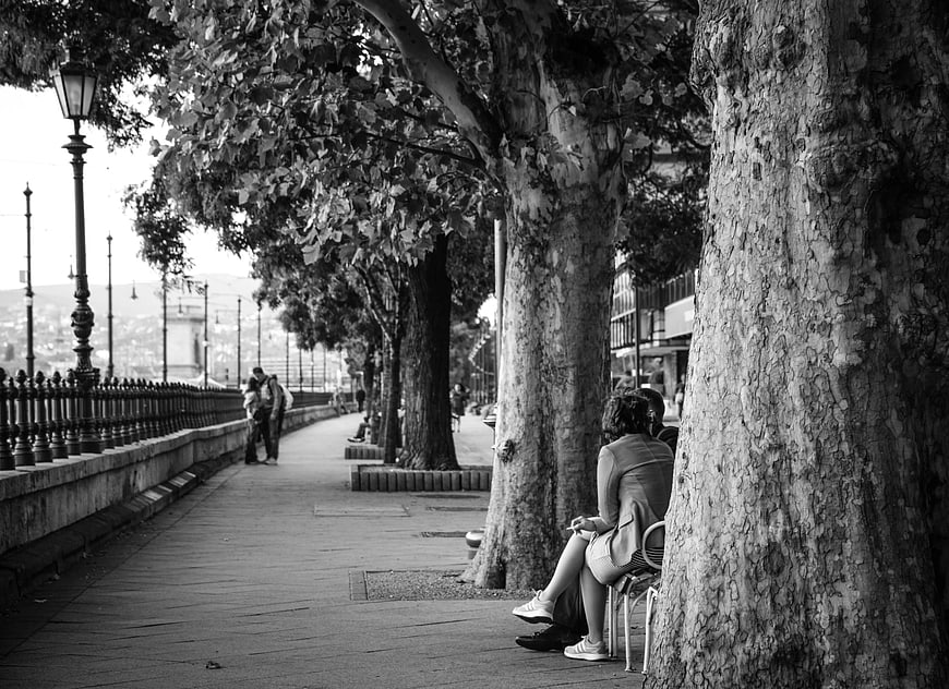 Black and white photo of couple sitting on bench under trees