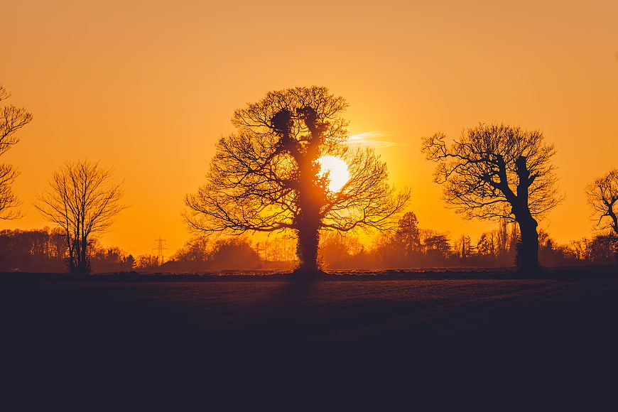 Silhouetted Trees Against Vibrant Orange Sunset Sky