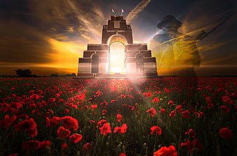 Double exposure of a soldier ghost in a red poppy field at sunset