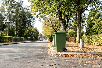 Green Waste Bins on Quiet Autumn Residential Street