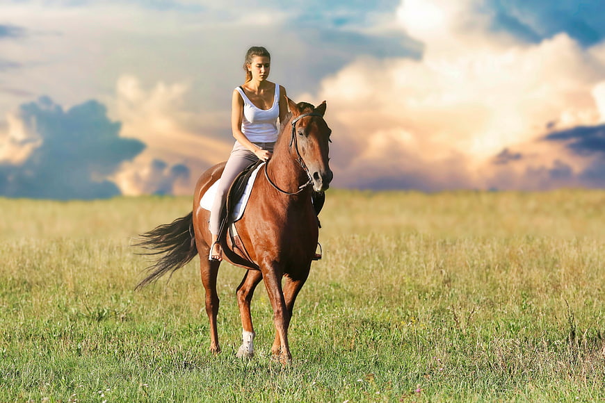 Woman Riding Brown Horse in Green Field at Sunset