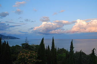 Mediterranean Sea View With Cypress Trees And Clouds At Dusk