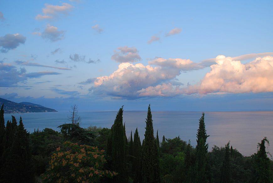 Mediterranean Sea View With Cypress Trees And Clouds At Dusk